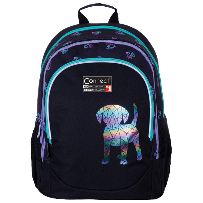 Ruksak školski anatomski Best friend 23.Connect !!